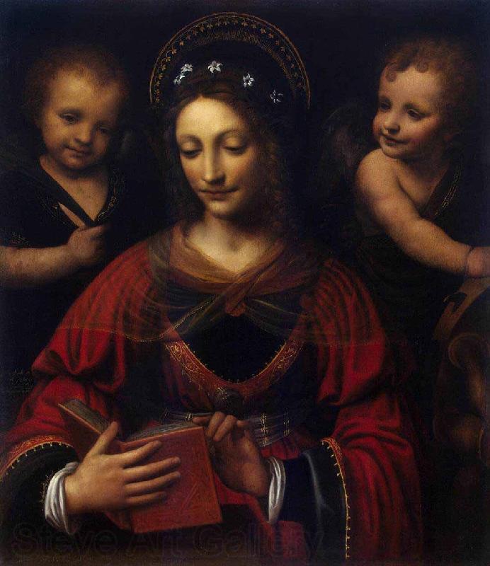 Bernardino Lanino Saint Catherine France oil painting art